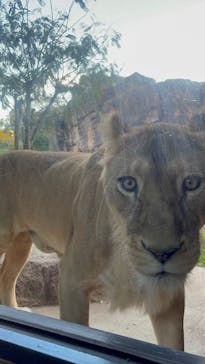 天王寺動物園に投稿された画像（2020/11/21）