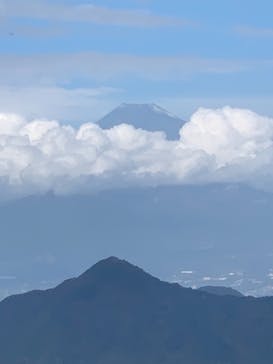 伊豆パノラマパークに投稿された画像（2020/11/21）