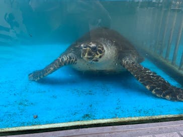 株式会社Gに投稿された画像（2020/11/21）