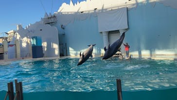 株式会社Gに投稿された画像（2020/11/21）