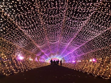 東京メガイルミに投稿された画像（2020/11/21）