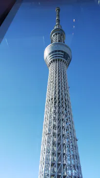 すみだ水族館に投稿された画像（2020/11/21）