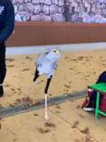 東武動物公園に投稿された画像（2020/11/21）