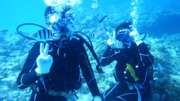 Sea World（シーワールド）に投稿された画像（2020/11/21）