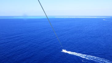 Sea World（シーワールド）に投稿された画像（2020/11/21）