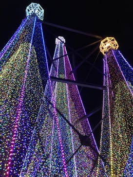 よみうりランド 遊園地に投稿された画像（2020/11/21）