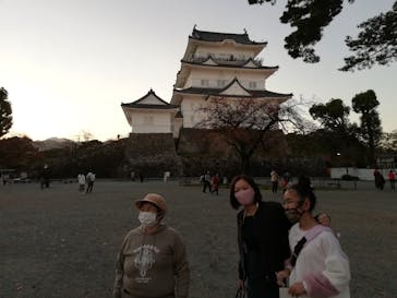 小田原城に投稿された画像（2020/11/21）