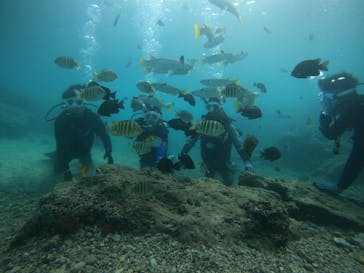 DIVING-SHOP SUNSに投稿された画像（2020/11/21）