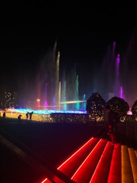 東京メガイルミに投稿された画像（2020/11/21）