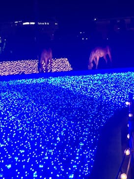 東京メガイルミに投稿された画像（2020/11/21）