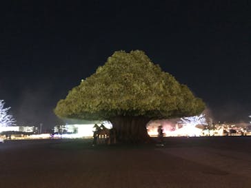 東京メガイルミに投稿された画像（2020/11/21）