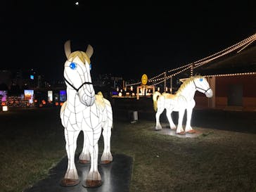 東京メガイルミに投稿された画像（2020/11/21）