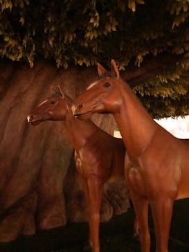 東京メガイルミに投稿された画像（2020/11/21）