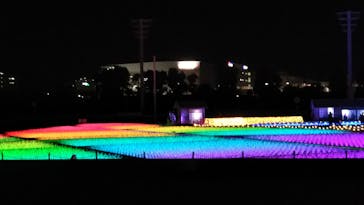 東京メガイルミに投稿された画像（2020/11/21）