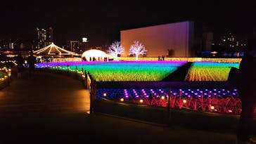 東京メガイルミに投稿された画像（2020/11/21）