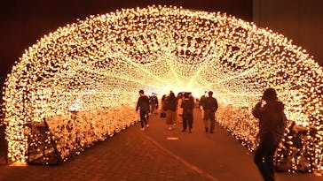 東京メガイルミに投稿された画像（2020/11/21）