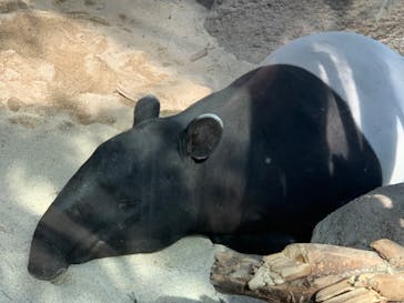 神戸どうぶつ王国に投稿された画像（2020/11/21）