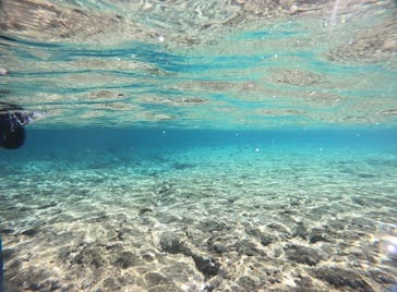 All Blue（オールブルー）に投稿された画像（2020/11/21）