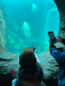 旭川市旭山動物園に投稿された画像（2020/11/21）