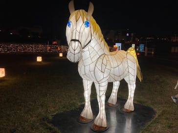 東京メガイルミに投稿された画像（2020/11/21）