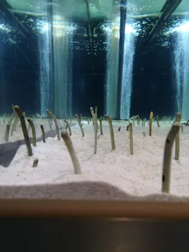 すみだ水族館に投稿された画像（2020/11/21）