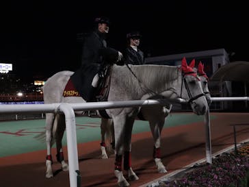 東京メガイルミに投稿された画像（2020/11/21）