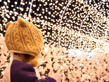 東京メガイルミに投稿された画像（2020/11/21）