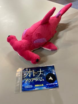 アクアワールド茨城県大洗水族館に投稿された画像（2020/11/21）