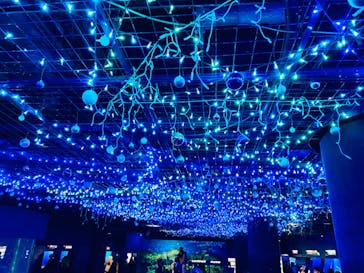 アクアワールド茨城県大洗水族館に投稿された画像（2020/11/21）