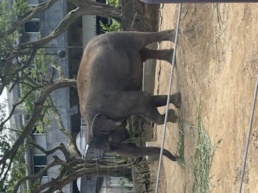 沖縄こどもの国に投稿された画像（2020/11/21）