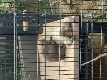 沖縄こどもの国に投稿された画像（2020/11/21）