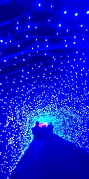 さがみ湖MORI MORIに投稿された画像（2020/11/21）