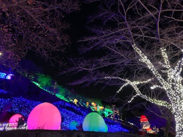 さがみ湖MORI MORIに投稿された画像（2020/11/21）