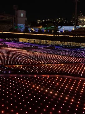 東京メガイルミに投稿された画像（2020/11/21）