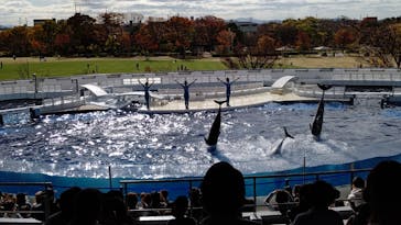 京都水族館に投稿された画像（2020/11/22）
