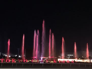 東京メガイルミに投稿された画像（2020/11/22）