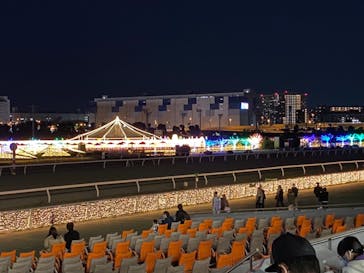 東京メガイルミに投稿された画像（2020/11/22）