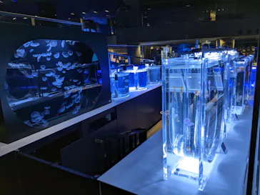 すみだ水族館に投稿された画像（2020/11/22）