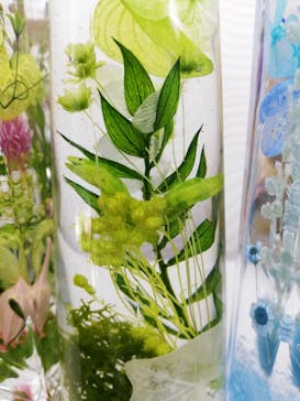 ずこうしつ〜sugamo〜に投稿された画像（2020/11/22）