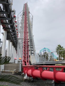 ナガシマスパーランドに投稿された画像（2020/11/22）