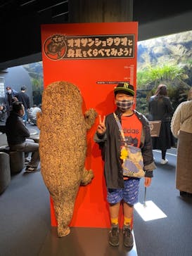 京都水族館に投稿された画像（2020/11/22）