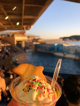 新江ノ島水族館に投稿された画像（2020/11/22）