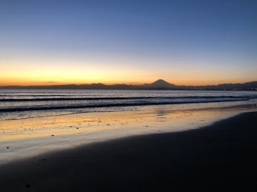 新江ノ島水族館に投稿された画像（2020/11/22）