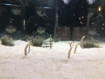 京都水族館に投稿された画像（2020/11/22）