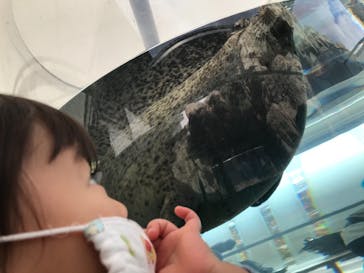 京都水族館に投稿された画像（2020/11/22）