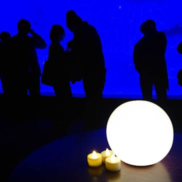 アクアワールド茨城県大洗水族館に投稿された画像（2020/11/22）