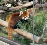 天王寺動物園に投稿された画像（2020/11/22）