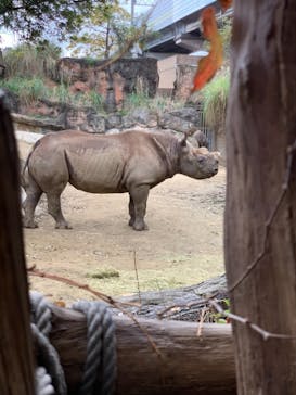 天王寺動物園に投稿された画像（2020/11/22）