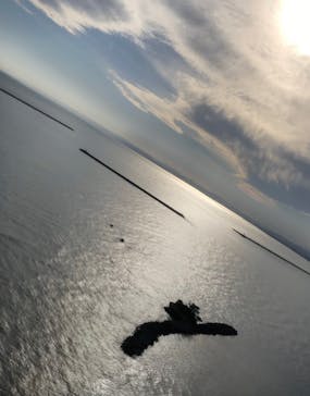 松島熱気球・パラグライダー体験に投稿された画像（2020/11/22）