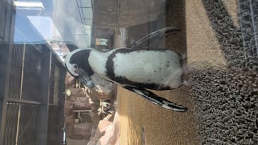 京都水族館に投稿された画像（2020/11/22）